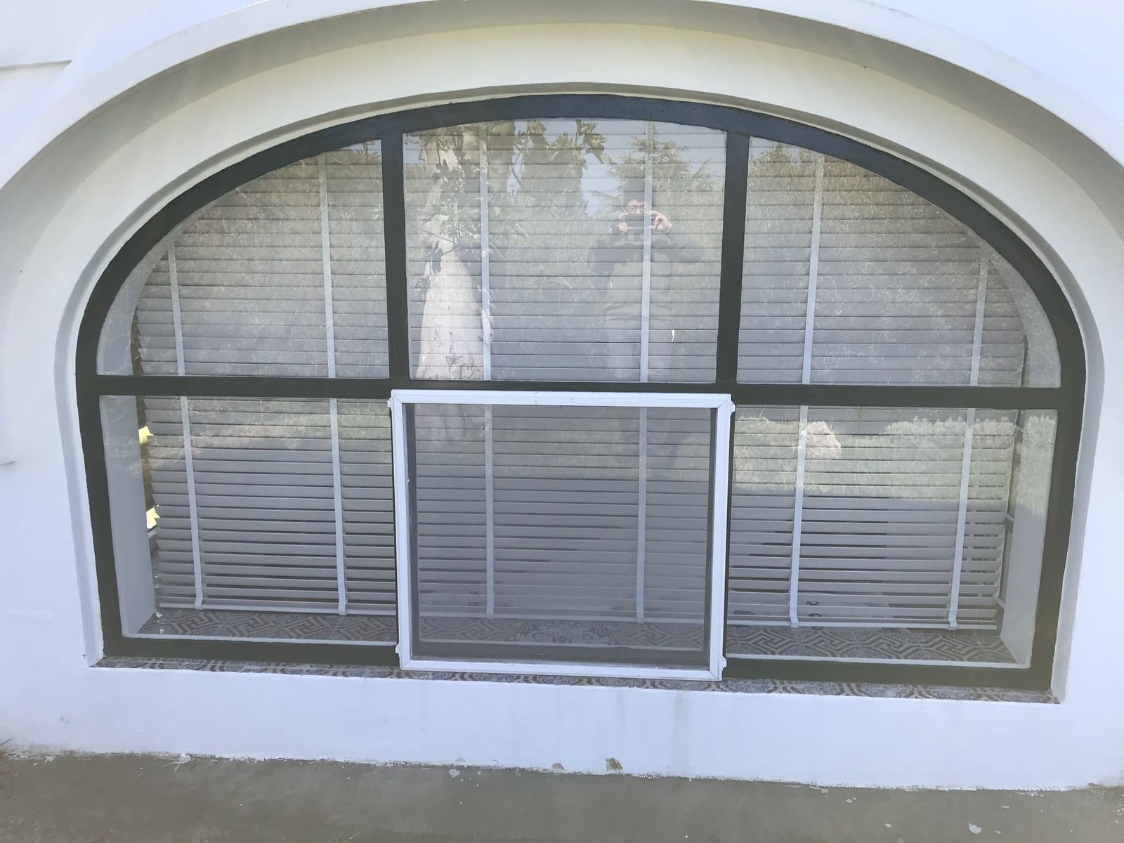 Cancelli e vetrate cancello o vetrata (100)