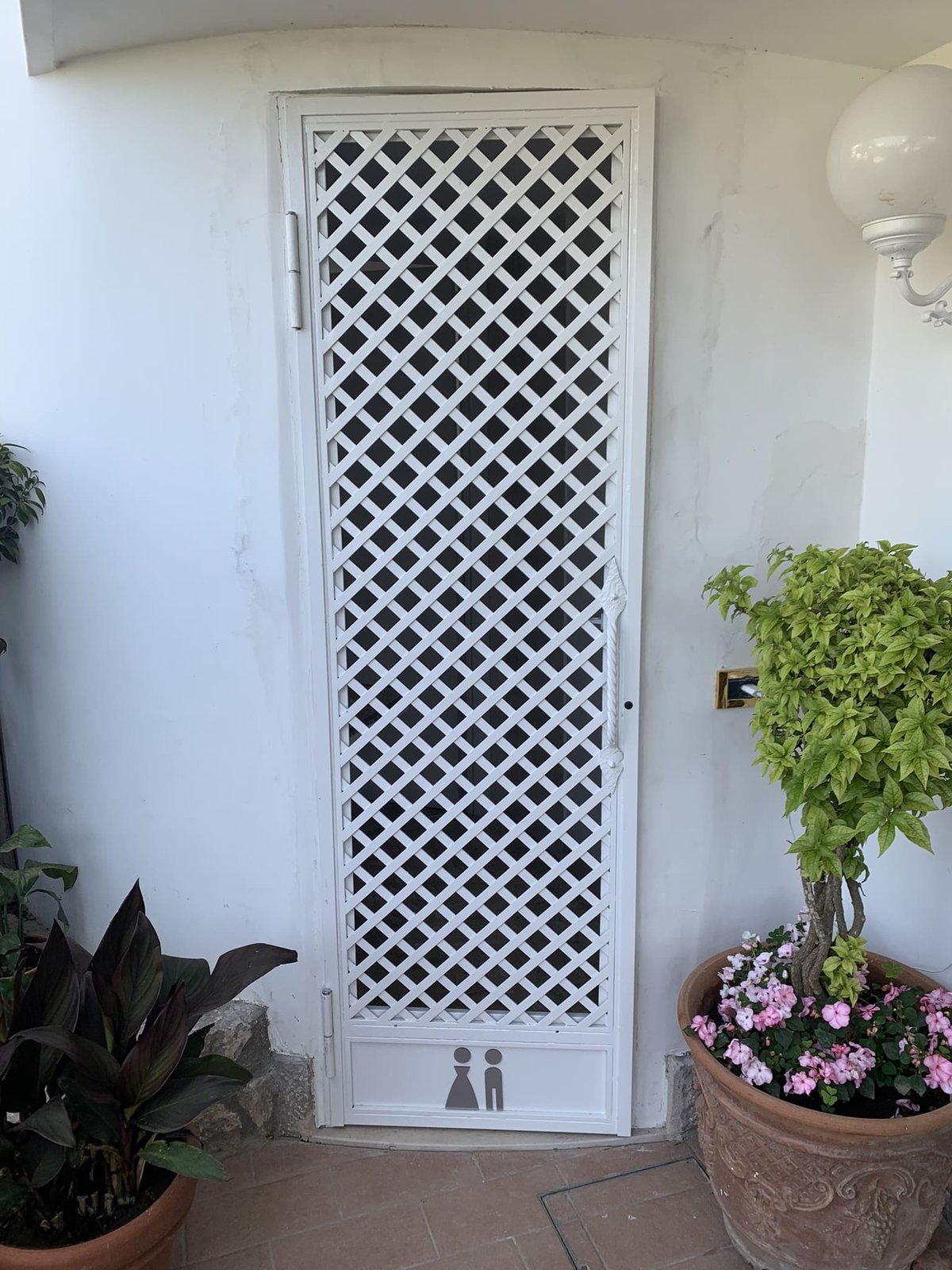 Cancelli e vetrate cancello o vetrata (102)