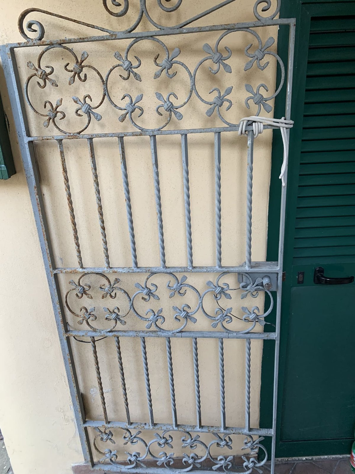 Cancelli e vetrate cancello o vetrata (106)