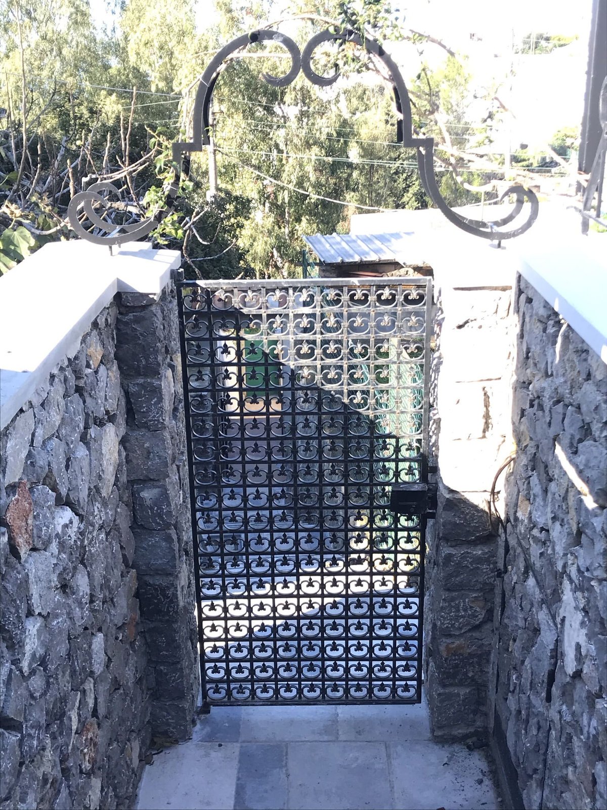 Cancelli e vetrate cancello o vetrata (41)