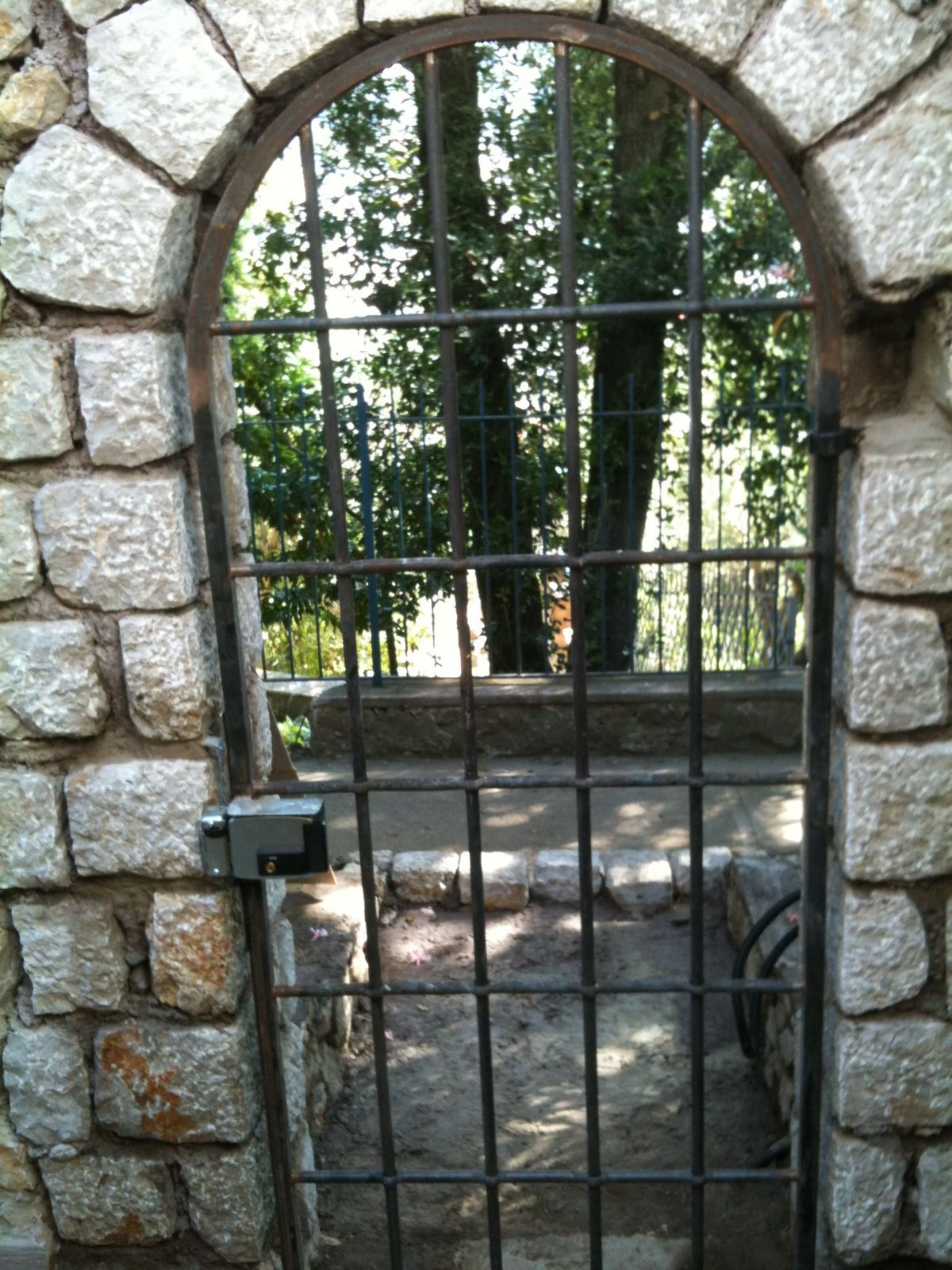 Cancelli e vetrate cancello o vetrata (45)