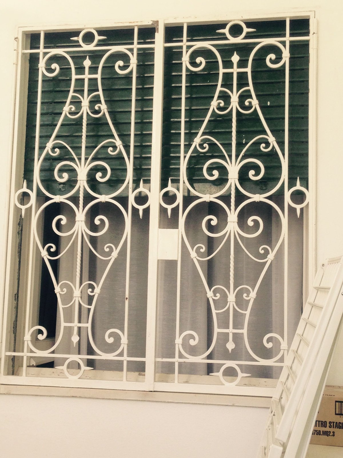 Cancelli e vetrate cancello o vetrata (48)