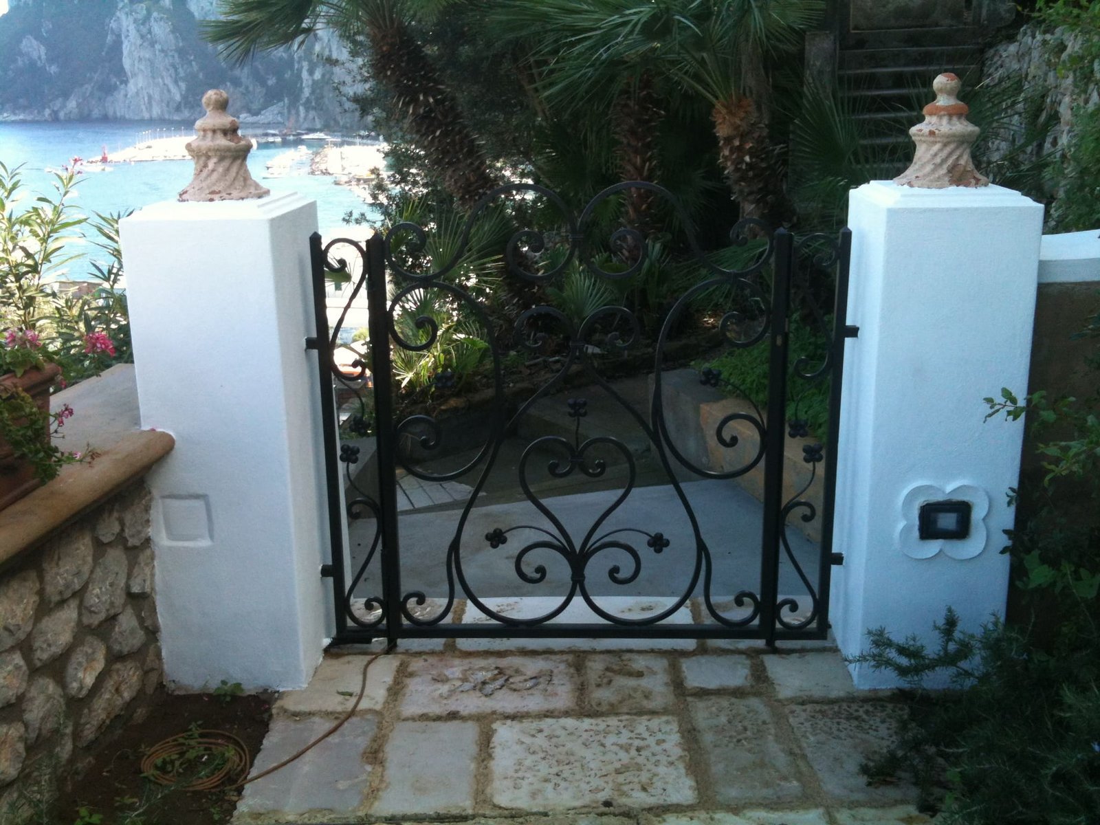 Cancelli e vetrate cancello o vetrata (52)