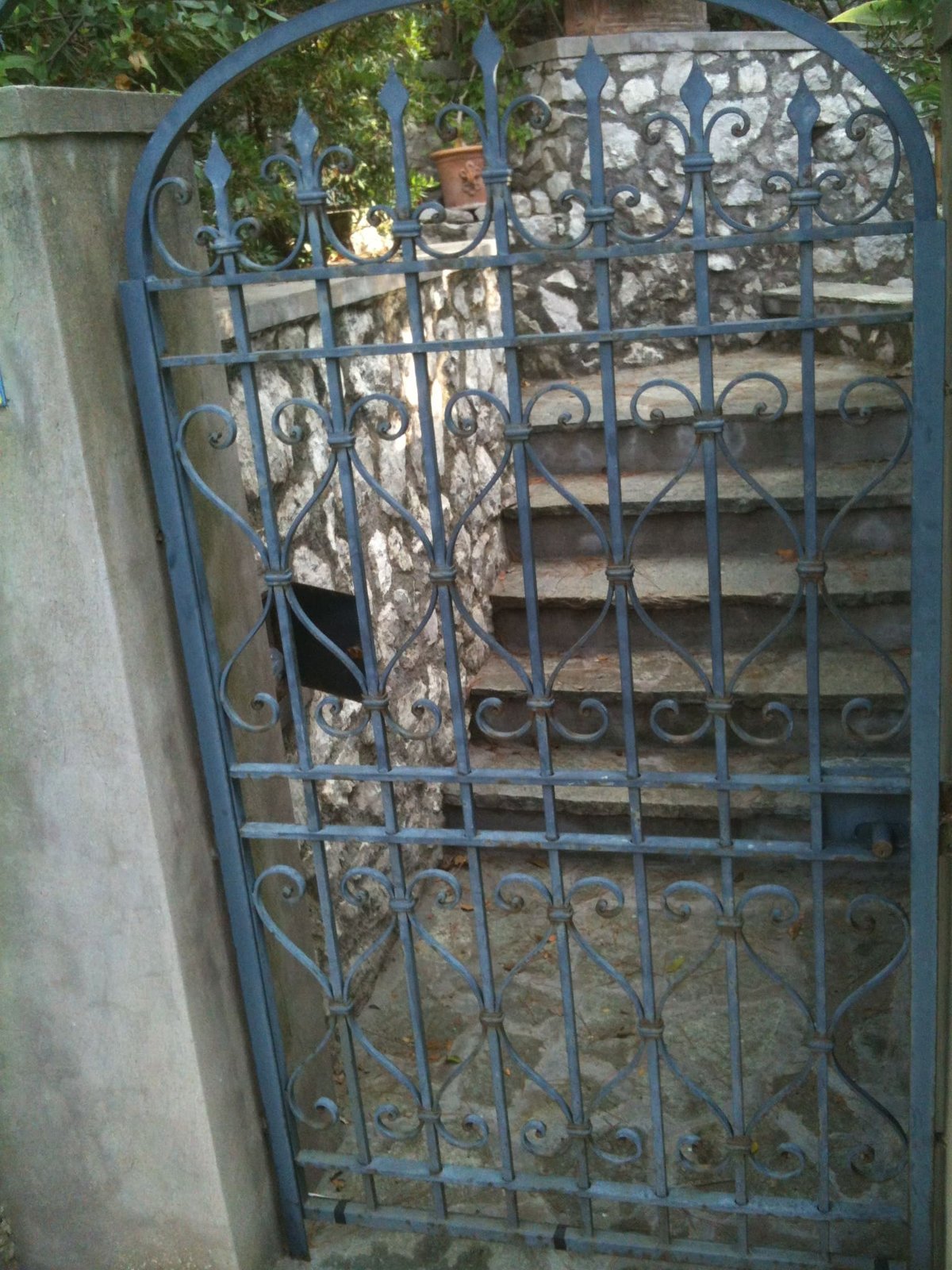 Cancelli e vetrate cancello o vetrata (53)