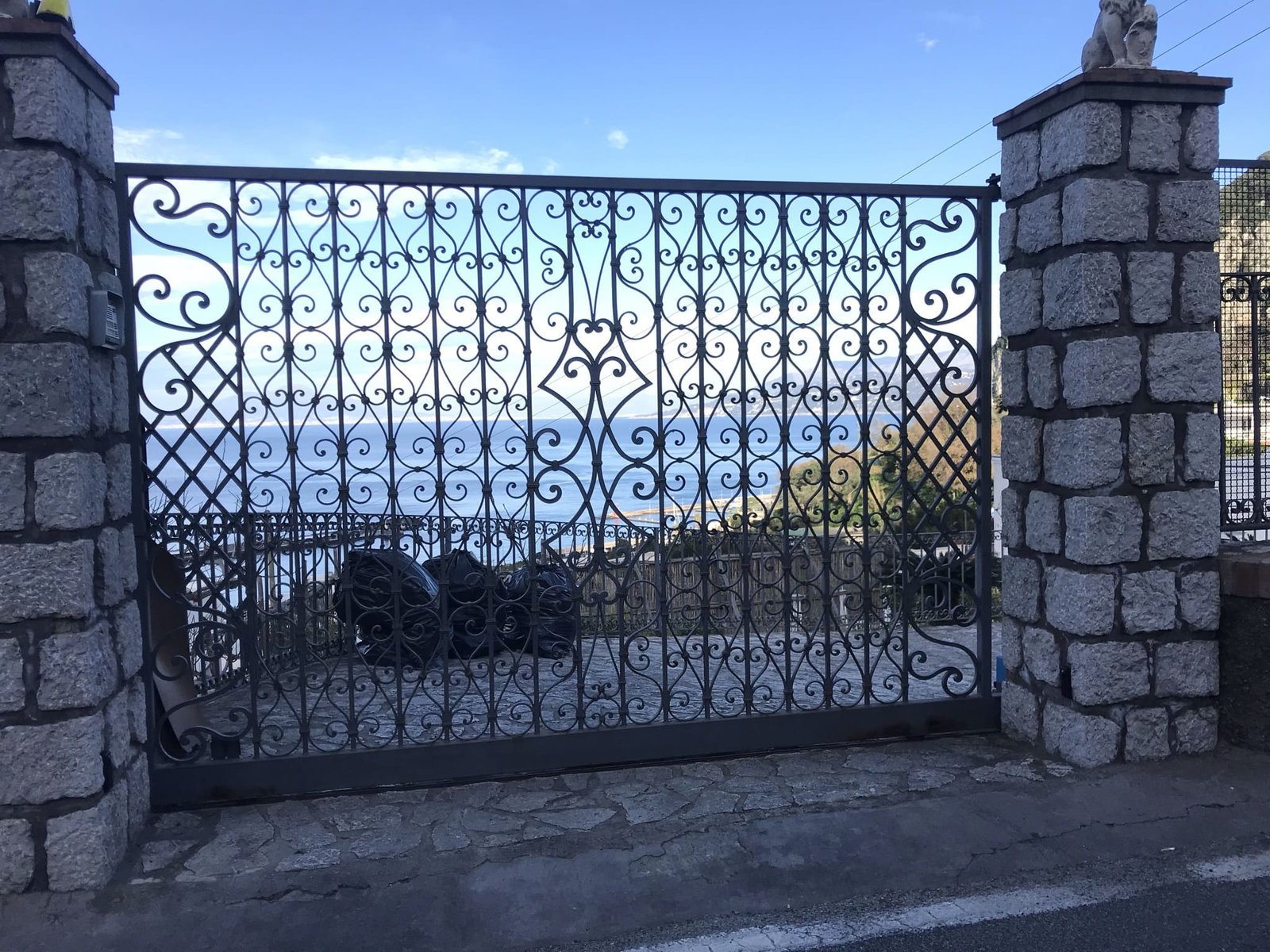 Cancelli e vetrate cancello o vetrata (54)