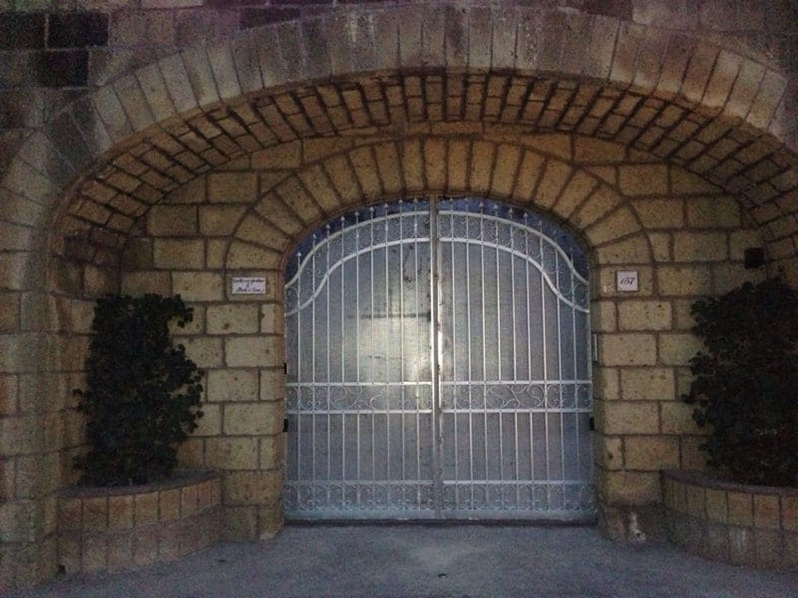 Cancelli e vetrate cancello o vetrata (55)