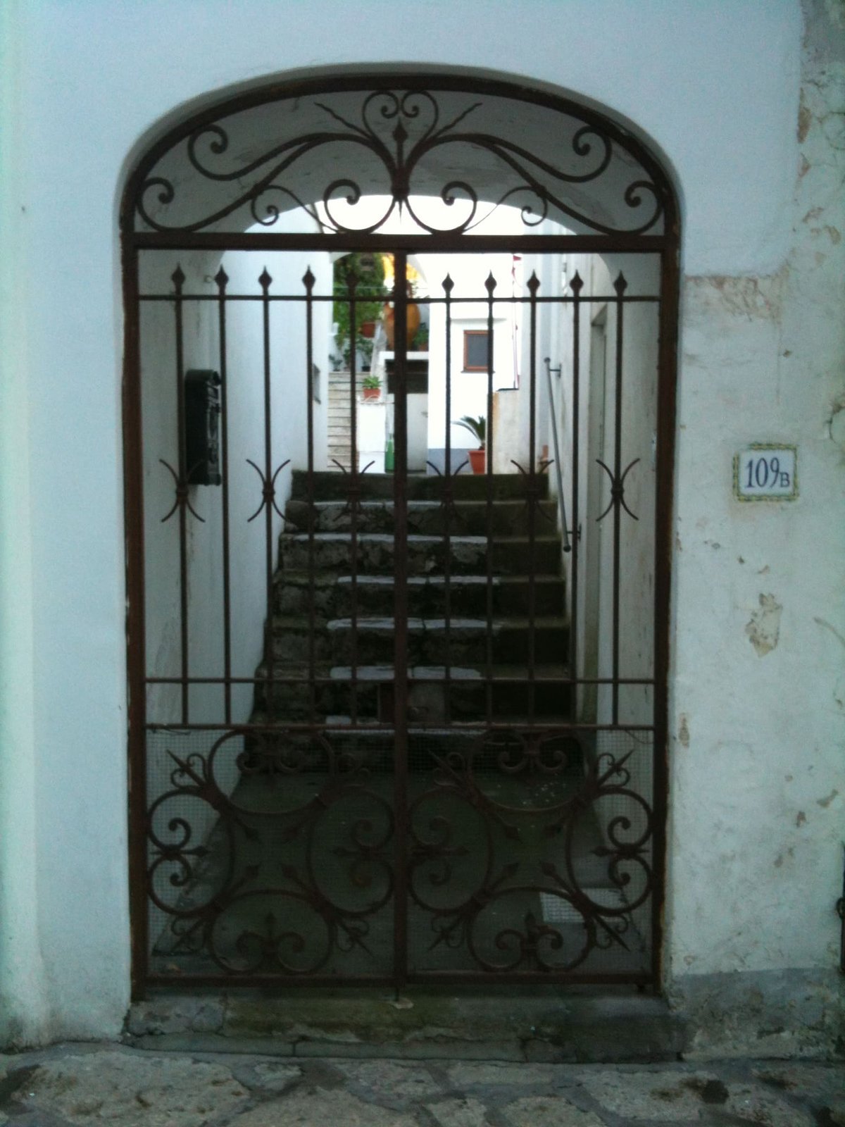 Cancelli e vetrate cancello o vetrata (56)