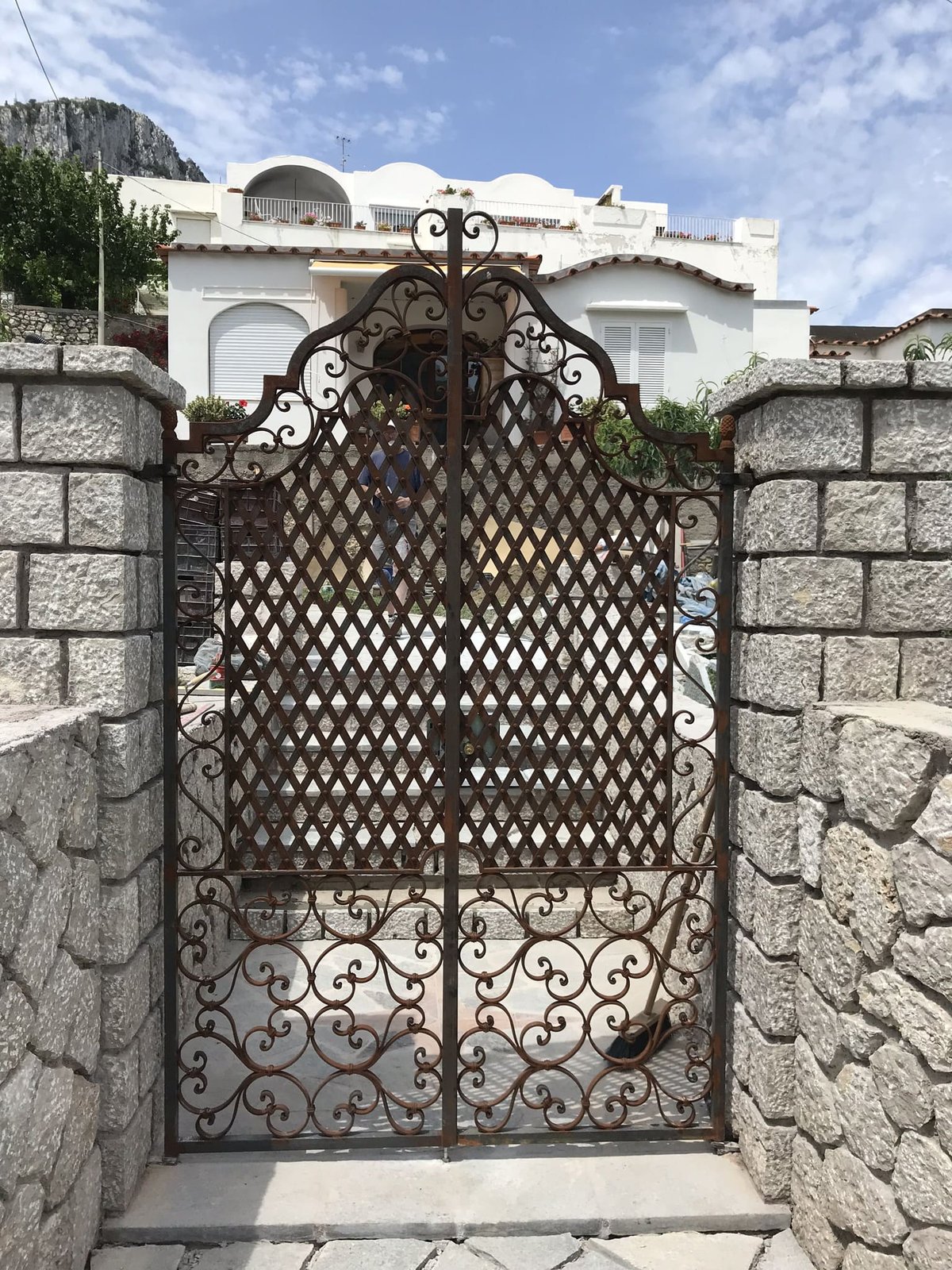 Cancelli e vetrate cancello o vetrata (61)