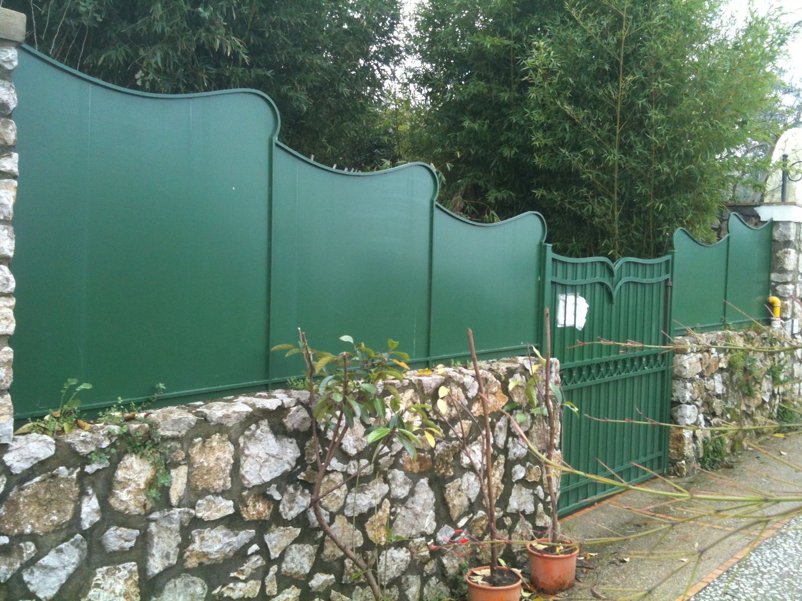 Cancelli e vetrate cancello o vetrata (64)