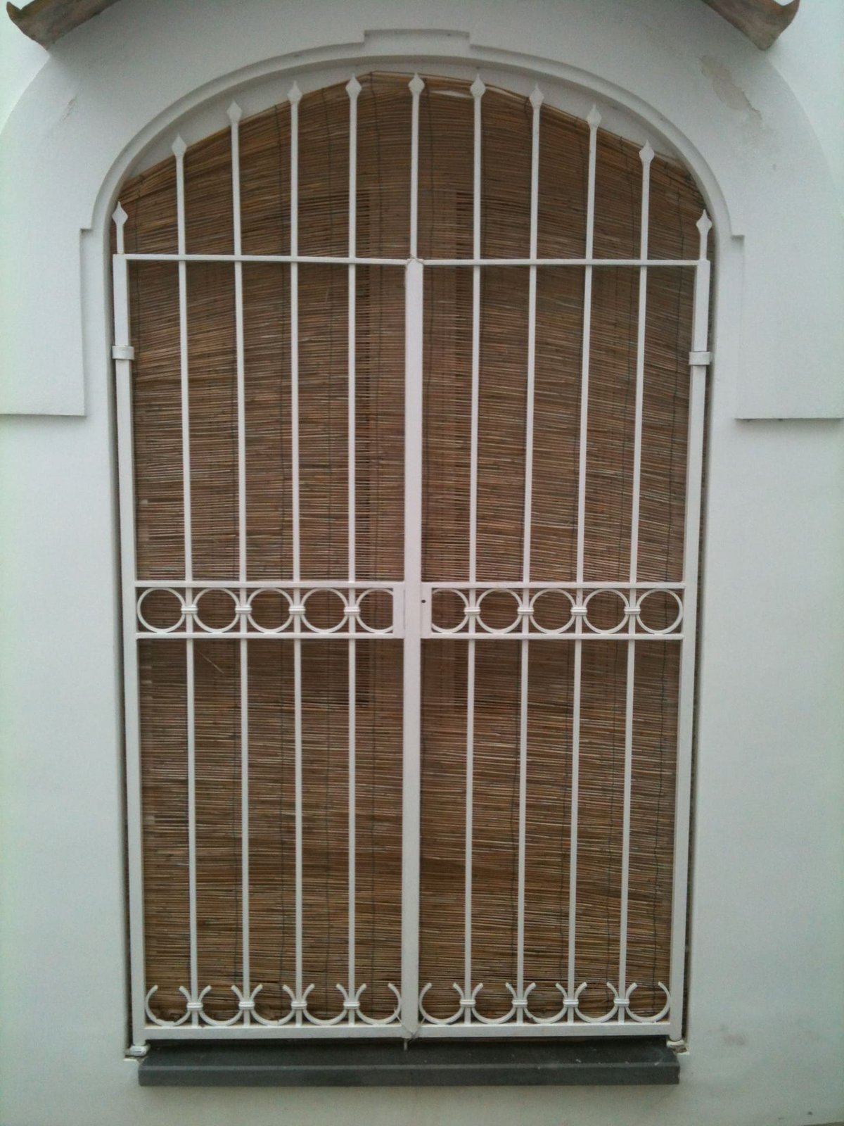 Cancelli e vetrate cancello o vetrata (67)