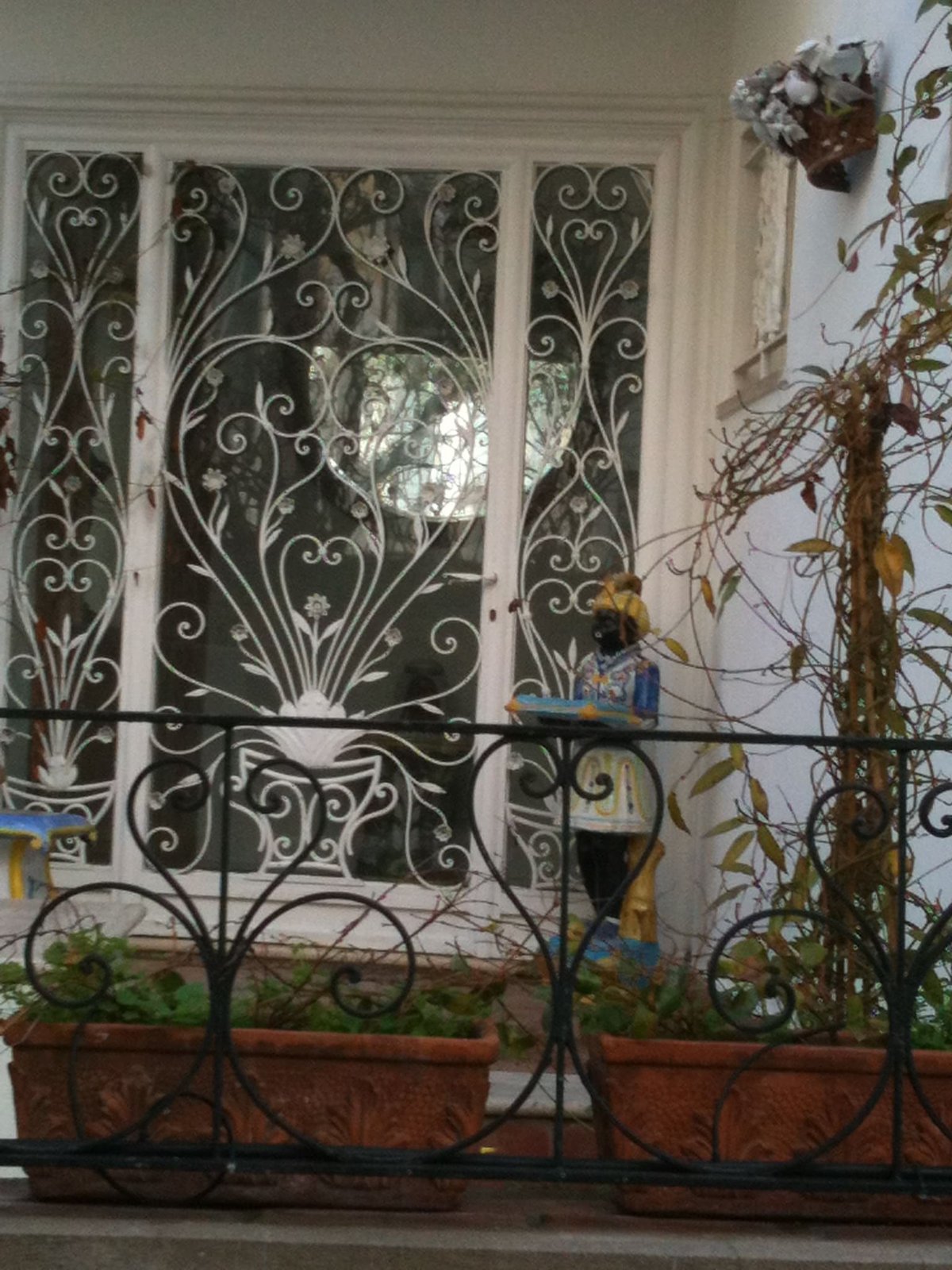 Cancelli e vetrate cancello o vetrata (71)