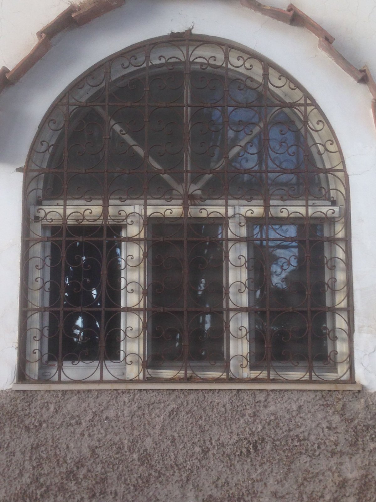 Cancelli e vetrate cancello o vetrata (78)