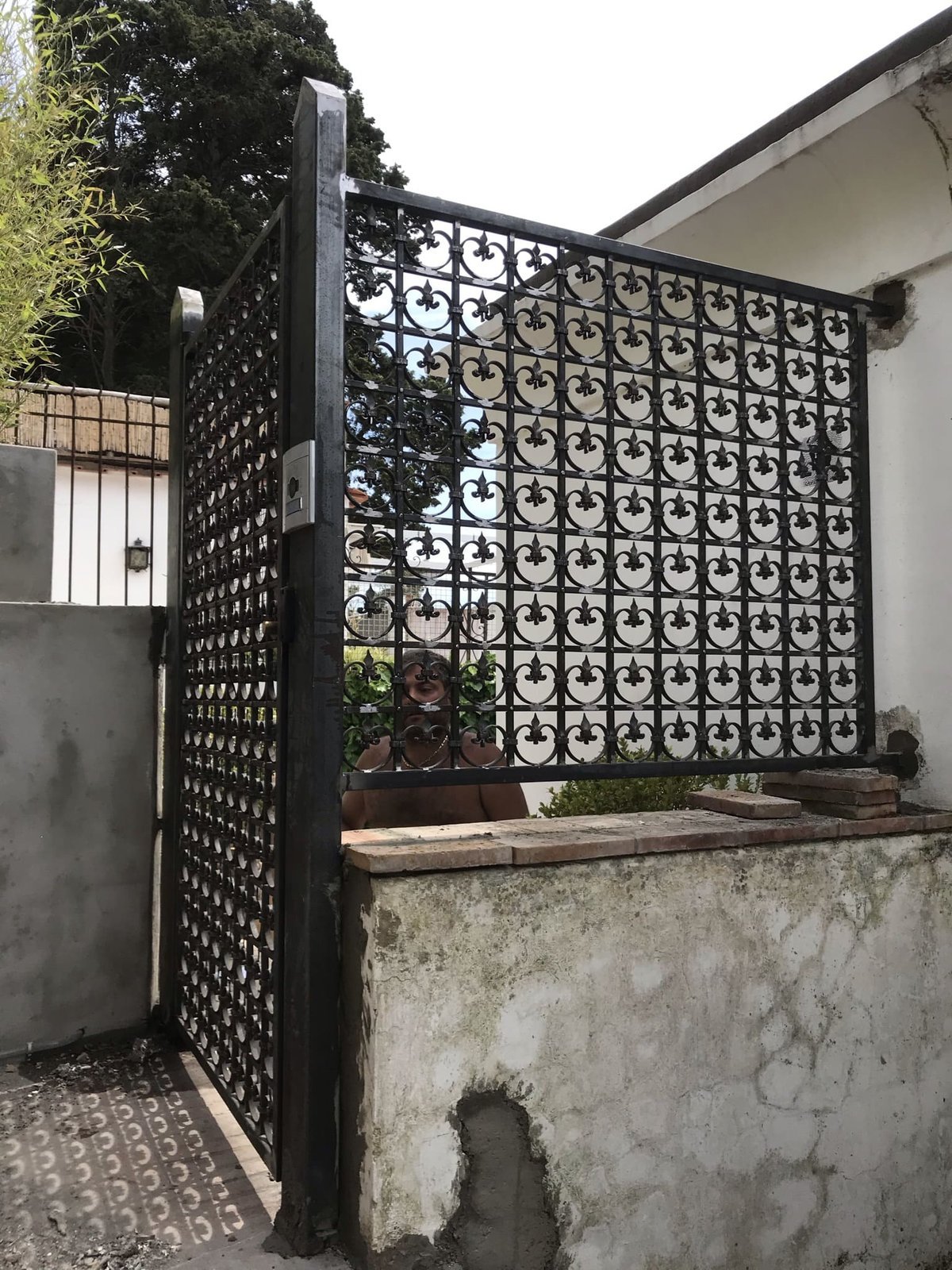 Cancelli e vetrate cancello o vetrata (80)