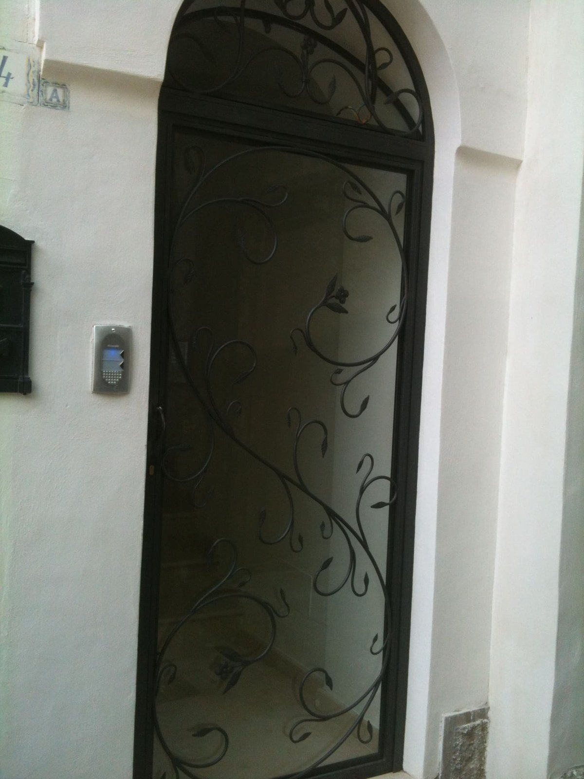 Cancelli e vetrate cancello o vetrata (84)