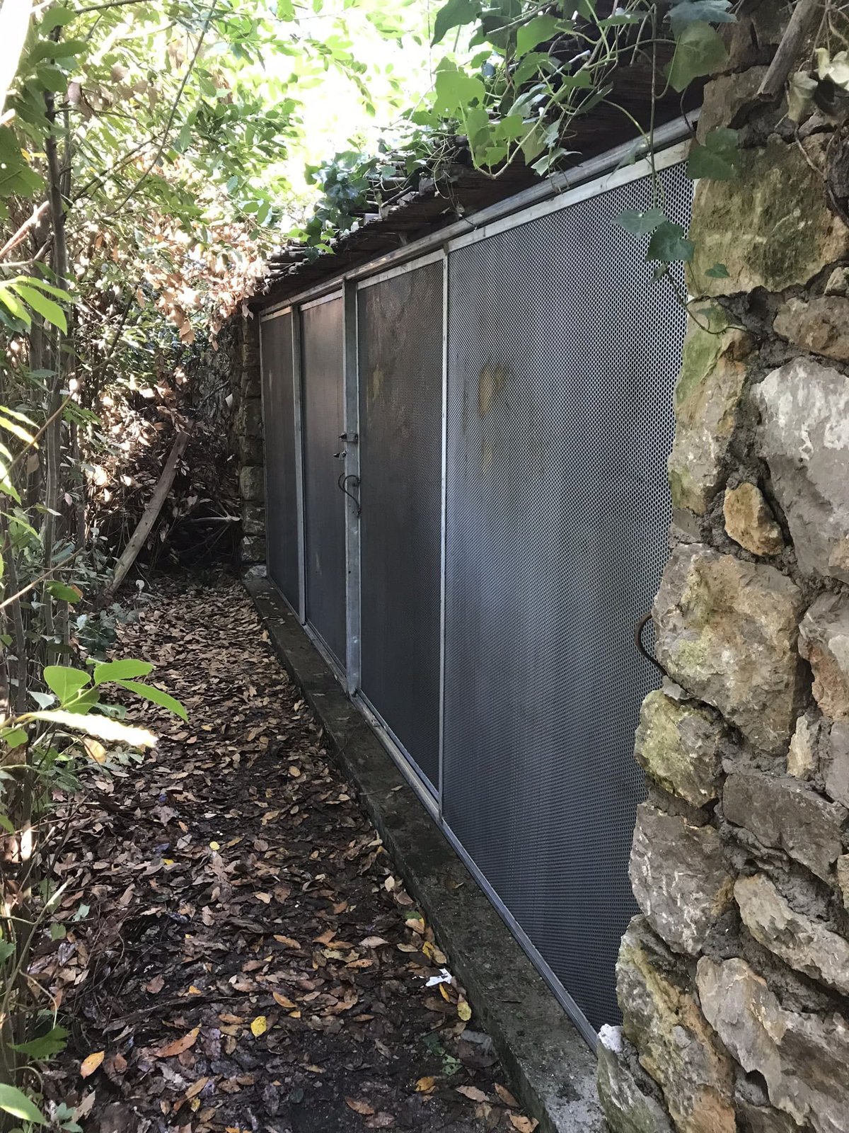 Cancelli e vetrate cancello o vetrata (91)