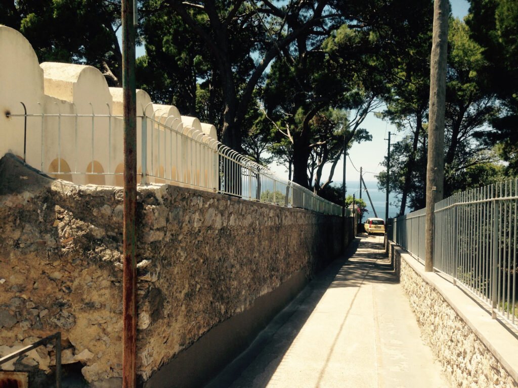 Ringhiere e recinzioni ringhiera o recinzione (28)