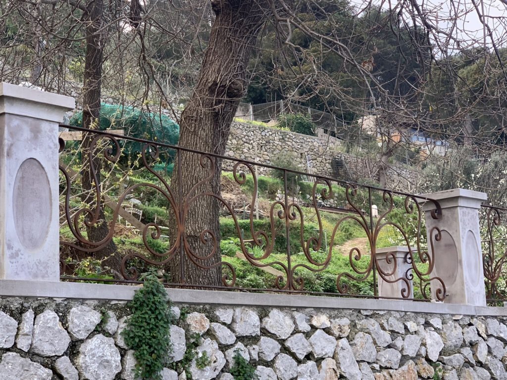 Ringhiere e recinzioni ringhiera o recinzione (50)