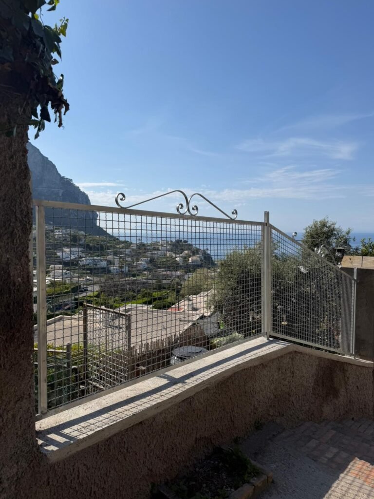 Ringhiere e recinzioni ringhiera o recinzione (73)